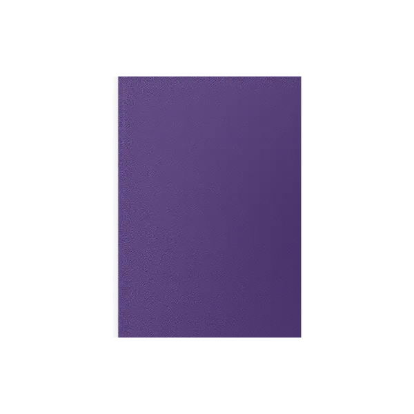 Dragon Shield Sleeves: Standard Matte Dual - Soul
