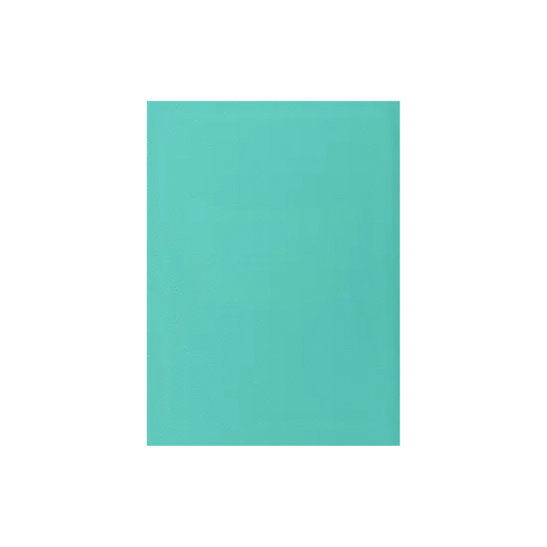 Dragon Shield Sleeves: Japanese Matte - Mint