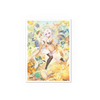 Dragon Shield Sleeves: Standard Matte Art - GA Jia Heaven's Favored