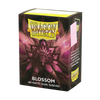 Dragon Shield Sleeves: Standard Matte Dual - Blossom