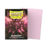 Dragon Shield Sleeves: Standard Matte Dual - Blossom