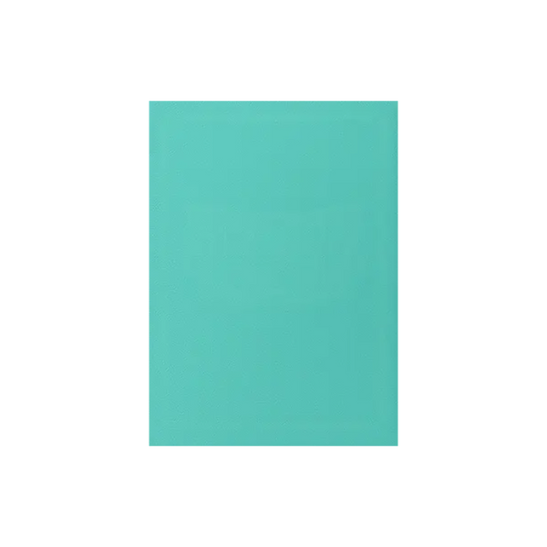 Dragon Shield Sleeves: Standard Matte - Mint