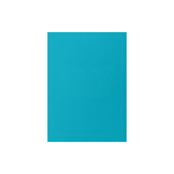 Dragon Shield Sleeves: Standard Matte - Turquoise