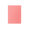 Dragon Shield Sleeves: Standard Matte Dual - Peach