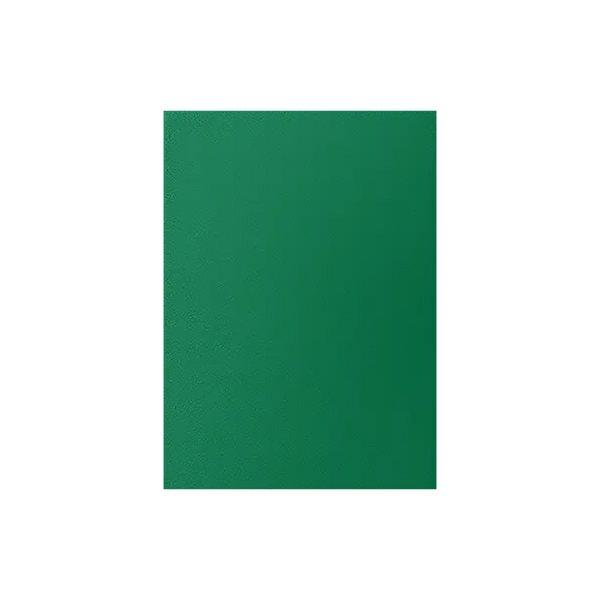 Dragon Shield Sleeves: Standard Matte Dual - Might