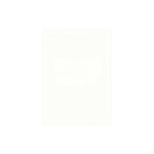 Dragon Shield Sleeves: Standard Classic - White