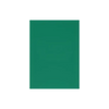 Dragon Shield Sleeves: Standard Classic - Green