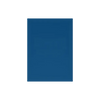 Dragon Shield Sleeves: Standard Classic - Blue